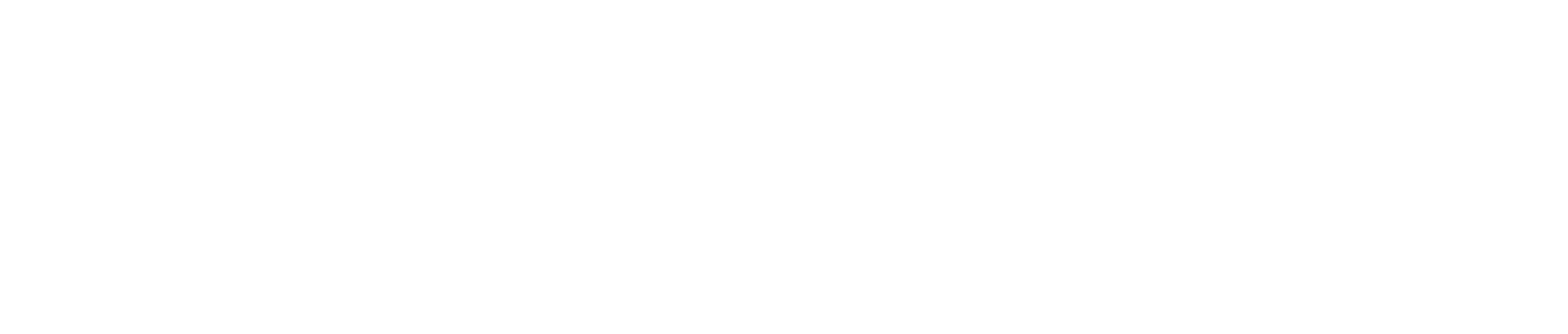 Savison Life